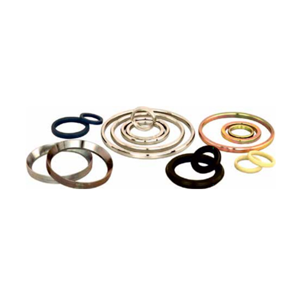 Ring Type Joint Gasket